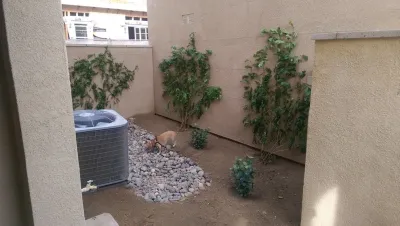 BBQ Island - Palm Desert — Landscape Construction project by Leon's Landscaping & Tree Service Inc