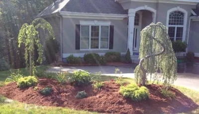 Let's Grow Together - Seasonal Yard Cleaning in East Hartford, CT