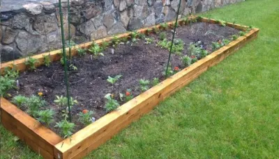 Let's Grow Together - Seasonal Yard Cleaning in East Hartford, CT
