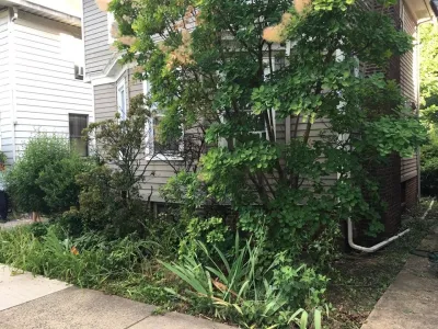Highland Park Home — Landscape Construction project by Lewis Natural Landscapes