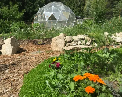 Califia Ecodesign - Garden Remodeling in Pasadena, CA