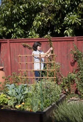Califia Ecodesign - Garden Remodeling in Pasadena, CA