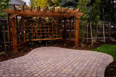 LID Landscapes - Drip Irrigation System Installation in Longmont, CO