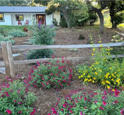 Califia Ecodesign - Garden Remodeling in Pasadena, CA