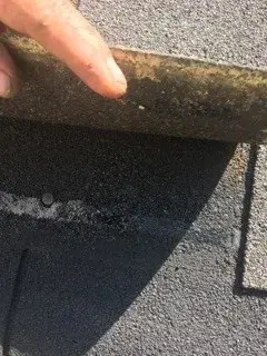 Roof Shingle Replacement — Home Renovation & Remodeling Services project by Richard's Home Innovations