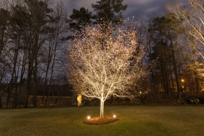 Kennesaw Landscape Lighting by Lights Over Atlanta
