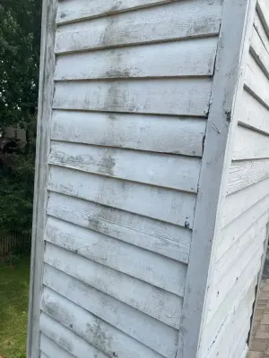Siding Restoration — Home Renovation & Remodeling Services project by The Carpenters Son General Contracting L.L.C.