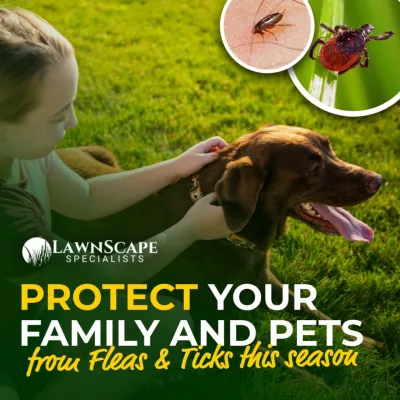 Lawnscape Specialists - Lawn Aeration in Kansas City, MO