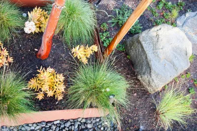 Long Beach Modern — Landscape Design project by California Eco Design, Inc. in Long Beach