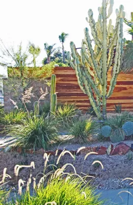 ReXeriscape — Landscape Design project by California Eco Design, Inc. in Long Beach
