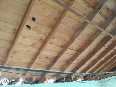Legacy Builders and Contracting, LLC - Basement Waterproofing in Oklahoma City, OK