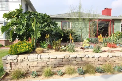 California Heights Craftsman Xeriscape — Landscape Design project by California Eco Design, Inc.