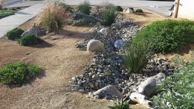 California Native Landscape Design - Landscape Design in Brea, CA