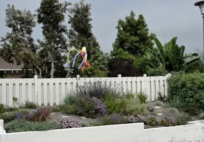 California Native Landscape Design - Landscape Design in Brea, CA