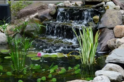 LiveWell Outdoors - Garden Remodeling in Upper Marlboro, MD