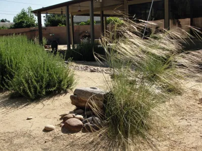 California Native Landscape Design - Landscape Design in Brea, CA