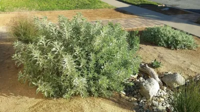 California Native Landscape Design - Landscape Design in Brea, CA