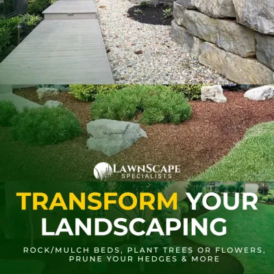 Lawn Overseeding & Aeration — Landscape Construction project by Lawnscape Specialists