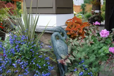 Living Earth Landscapes - Drip Irrigation System Installation in Redmond, WA