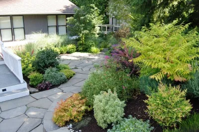 Living Earth Landscapes - Drip Irrigation System Installation in Redmond, WA