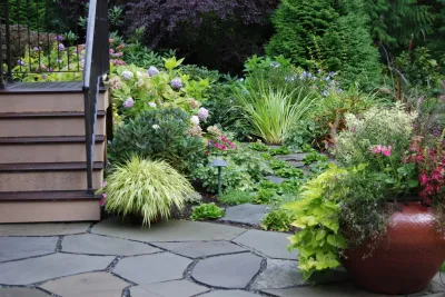 Living Earth Landscapes - Drip Irrigation System Installation in Redmond, WA