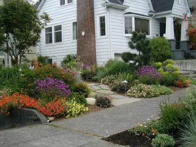 Living Earth Landscapes - Drip Irrigation System Installation in Redmond, WA