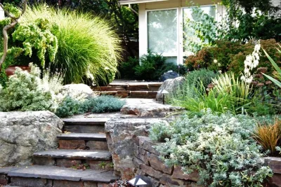 Living Earth Landscapes - Drip Irrigation System Installation in Redmond, WA