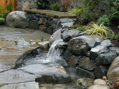 Living Earth Landscapes - Drip Irrigation System Installation in Redmond, WA