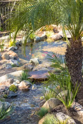 Koi Fish Pond With a View! — Landscape Design project by California Waterscapes