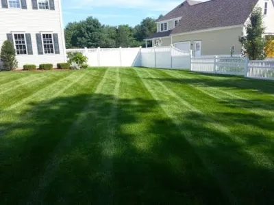 Lola's Landscape - Seasonal Yard Cleaning in Franklin, MA