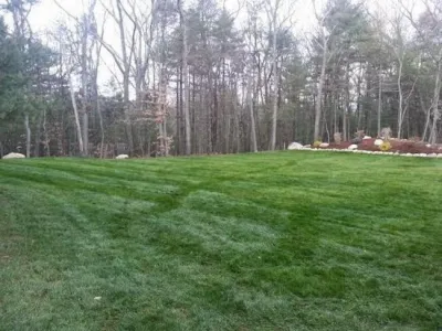 Lola's Landscape - Seasonal Yard Cleaning in Franklin, MA