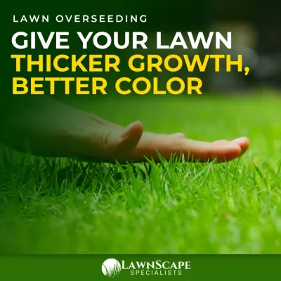 Lawnscape Specialists - Lawn Aeration in Kansas City, MO
