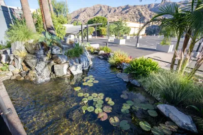 Castaway Restaurant Burbank Koi Pond — Landscape Design project by California Waterscapes