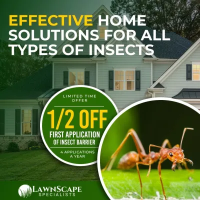 Pest Control — Landscape Construction project by Lawnscape Specialists