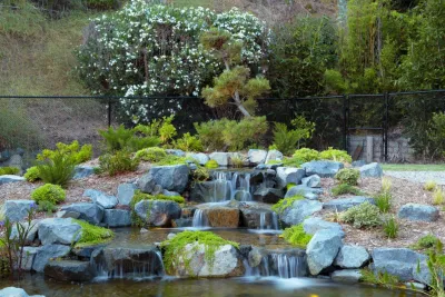 25′ x 30′ Ecosystem Koi Pond | Wide Split Waterfalls — Landscape Design project by California Waterscapes in Los Angeles