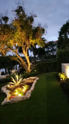 Love's Landscape - Seasonal Yard Cleaning in Naples, FL