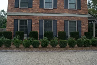 Lucia Landscaping Inc. - Tree & Shrub Care in Roseville, MI