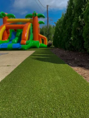 Lucia Landscaping Inc. - Tree & Shrub Care in Roseville, MI