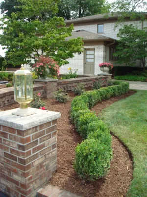 Lucia Landscaping Inc. - Tree & Shrub Care in Roseville, MI