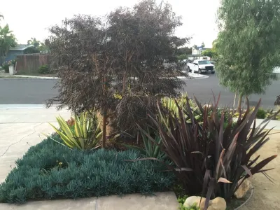Lydia Monroe: City Green OC - Patio Design & Installation in Costa Mesa, CA