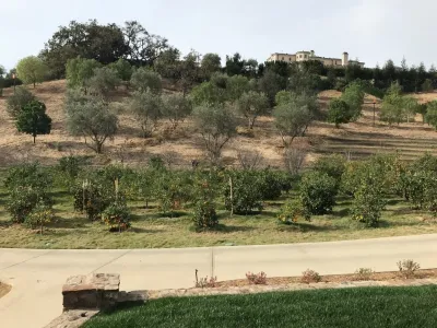 Lydia Monroe: City Green OC - Patio Design & Installation in Costa Mesa, CA