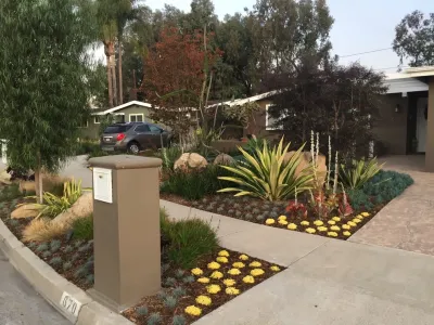 Costa Mesa Drought Tolerant — Landscape Construction project by Lydia Monroe: City Green OC in Costa Mesa