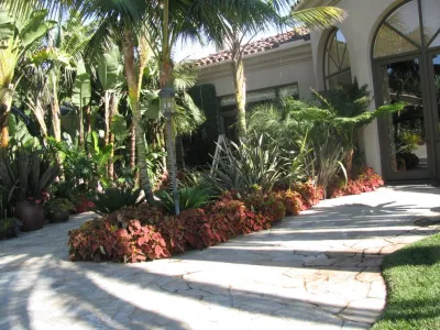 Rancho Santa Fe Residence — Landscape Construction project by Lydia Monroe: City Green OC