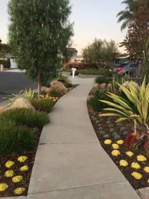 Lydia Monroe: City Green OC - Patio Design & Installation in Costa Mesa, CA