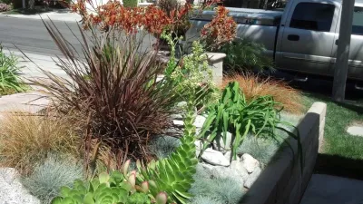 Softcapes — Landscape Construction project by Lytle Landscape Construction