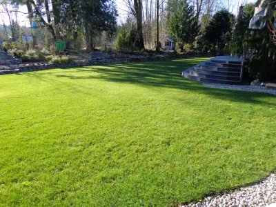 M.C. Landscape - Land Cleaning in Snohomish, WA