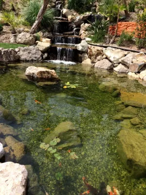 Cesar Millan's Desert Oasis by California Waterscapes