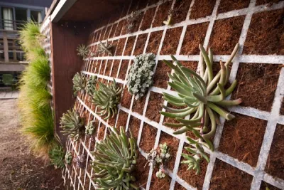 Madrono Landscape Design Studio, Inc. - Garden Remodeling in San Francisco, CA