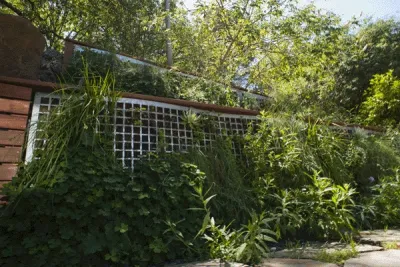 Madrono Landscape Design Studio, Inc. - Garden Remodeling in San Francisco, CA