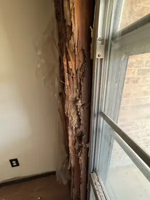 Eliminating termite damage, fixing poor repairs, and ensuring a professional rebuild. — Home Renovation & Remodeling Services project by BD Homestead LLC